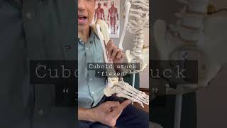 Lateral Outer Foot Pain After Ankle Sprain? Check Cuboid