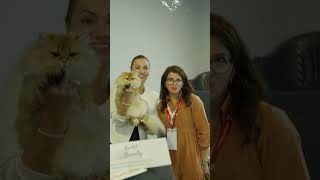 Kedi Yarışmnasında Best İn Show Olduk