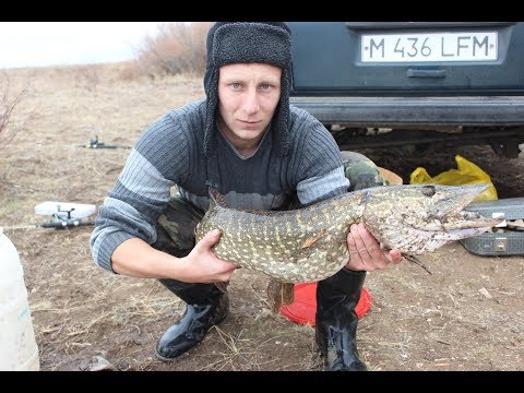 щука в конце октября видео щука в конце октября видео