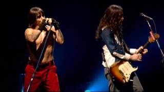 Watch Red Hot Chili Peppers Dont Forget Me video