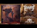 The Decaying Light Video preview