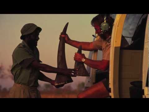Demand for rhino horn in Asia fuels African poaching crisis | WWF