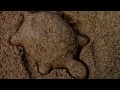(3D binaural sound) Asmr wet sand