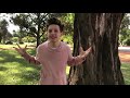 La Playa Video preview