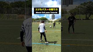 w7VrfbxB84s Video Image