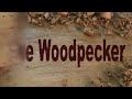 The Woodpecker Ep 71 - Building the new shop part 17 - Moving in