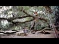 War Official 1 Kevin Ner Movie 1994 Hd images War Official 1 Kevin Ner Movie 1994 Hd