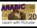 ArabicPod101.com Learn Arabic ArabicPod101.com Learn Arabic