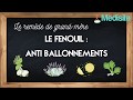 Remède de grand mère la graine de fenouil contre les ballonnement