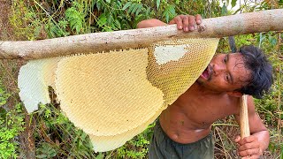 Five Stars Bushman Harvesting Honey Beehive In Jungle