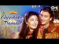 Choodake Daman Full Video - Imtihan | Saif Ali Khan, Raveena Tandon | Kumar Sanu & Alka Yagnik