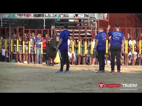 CONCURSO DE RECORTES ARGANDA DEL REY 2017