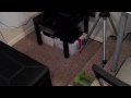 PVR