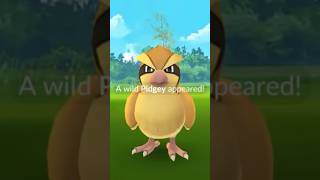 2016 Vs. 2024 The Pokémon Go Wild Encounters Glow-Up
