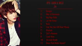 BTS - Dark & Wild - Jin Cut