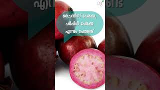 കരളതതൽ തരമയ സടരബറ പരയകക Strawberry Guava Fruit Healthy Food Lifestyle Taste