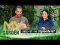My Garden 16-01-2022