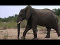 Africa's Super Seven - Part 3