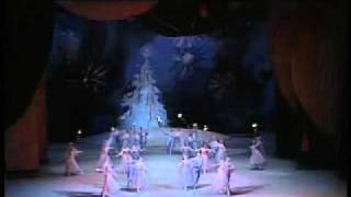 1989 Bolshoi Ballet Nutcracker Excerpts 10 12 By Grigorovich Tchaikovsky Waltz Of The Flowers 1989 Bolshoi Ballet Nutcracker Excerpts 10 12 By Grigorovich Tchaikovsky Waltz Of The Flowers