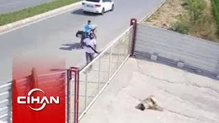 Bekçi Köpeğine Pompalı Tüfekle Vahşi Saldırı Kamerada