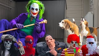 Dogs get Pranked Compilation : Funny Dogs Louie and Marie
