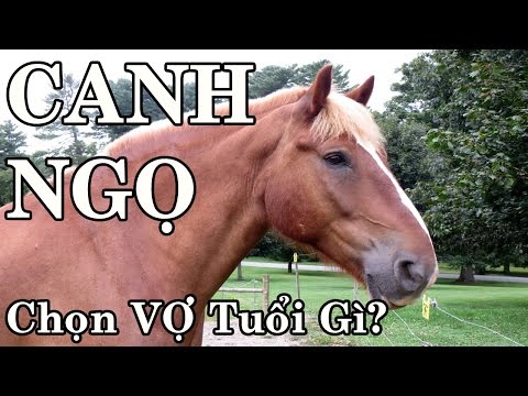 Nam Tuổi Canh Ngọ lấy Vợ Tuổi gì Phong Thủy Vượng Tài Thầy Xuân Thứ