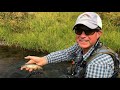 WBD - Fly Fishing Yellowstone Chasing Small Stream Cutthroat