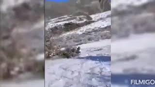 Hadrut Çevresindeki Ormanlarda Yaşanan Çatışmalardan Görüntüler