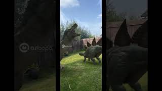 Vs Stegosaurus