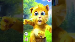 talking ginger funny s || 🙀🐈😻😹