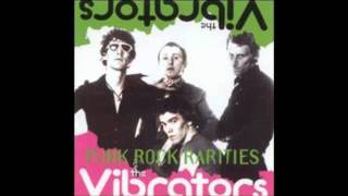 Watch Vibrators Bad Time video