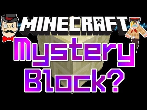 Minecraft Mystery Block