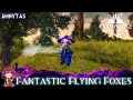 GW2 - Fantastic Flying Foxes achievement
