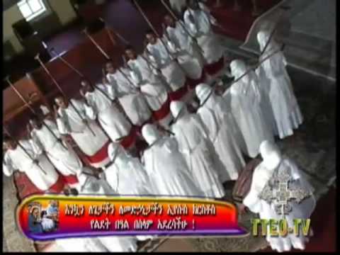 download amharic bible pdf download amharic bible pdf