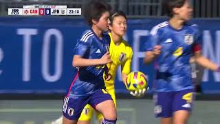 wAlEAa_BEgg Video Image