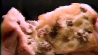 Webster Intro - December 1984