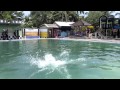Berenang di kolam putri duyung