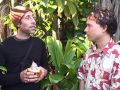 Raw Cacao Causes Mood Swings and is NOT a Health Food