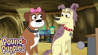 Pound Puppies The Call Of The Squirreldog Season 1 Pet Cartoon
