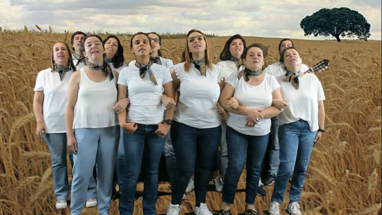 Jornal do AECUBA TV