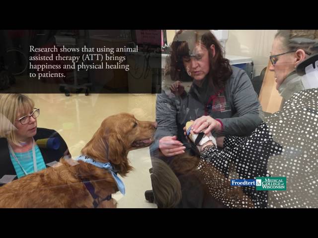 Watch Animal Assisted Therapy Leads to Wagging Tails – and Documented Improved Healing on YouTube.
