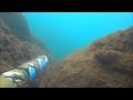 PESCA SUB :GRONGO 4,5 KG!!!!
