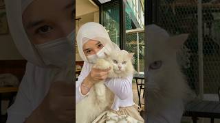 Muslim Hijab Shehazadi Girl Sherni