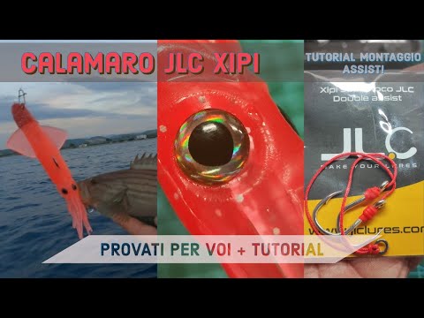 JLC XIPI CALAMARO - Provati per voi + tutorial montaggio assist hook