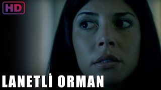 Lanetli Orman | Film