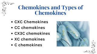 Chemokines And Types Of Chemokines Guyton Academy