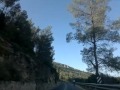 تسور هداسا تسور هداسا