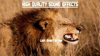 High Quality Sound Effects Lion Snarl Growl