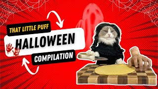 Spooky & Stylish: The Ultimate Halloween Compilation By Tlp! 👻🎃