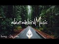 Indie/Rock/Alternative Compilation - January 2019 (1½-Hour Playlist)